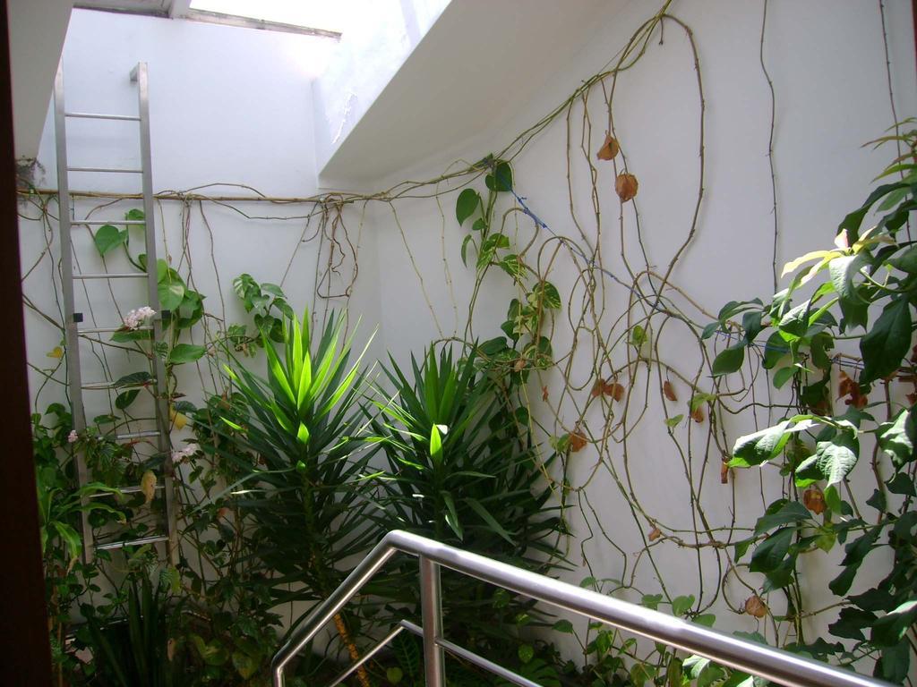 Residencial Moeda Hotel Coimbra Exterior photo